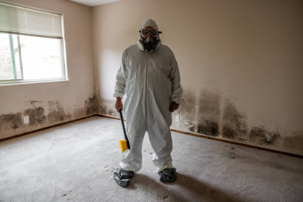 Mold Remediation for Vacation Homes in Rising Sun Lebanon, DE